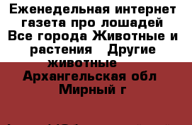 Еженедельная интернет - газета про лошадей - Все города Животные и растения » Другие животные   . Архангельская обл.,Мирный г.